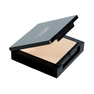 Review Holy Perfecting Pressed Powder