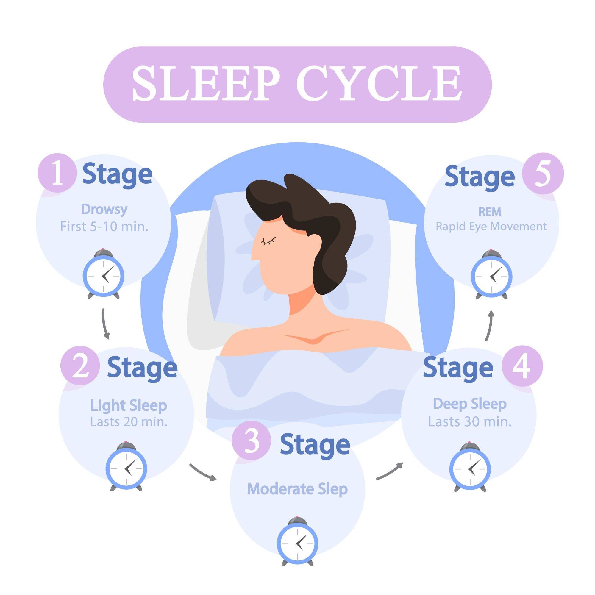 90 minute sleep cycle