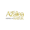 CAMPAIGN BRAND AZALEA BEAUTY X JBB