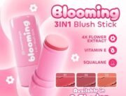Madame Gie Blooming 3in1 Blush Stick